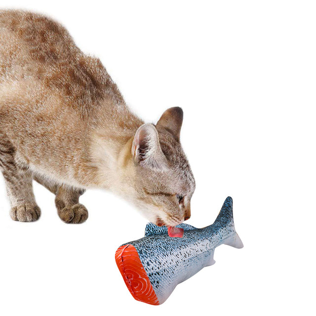 Creative Pet Toy in Fish Shape