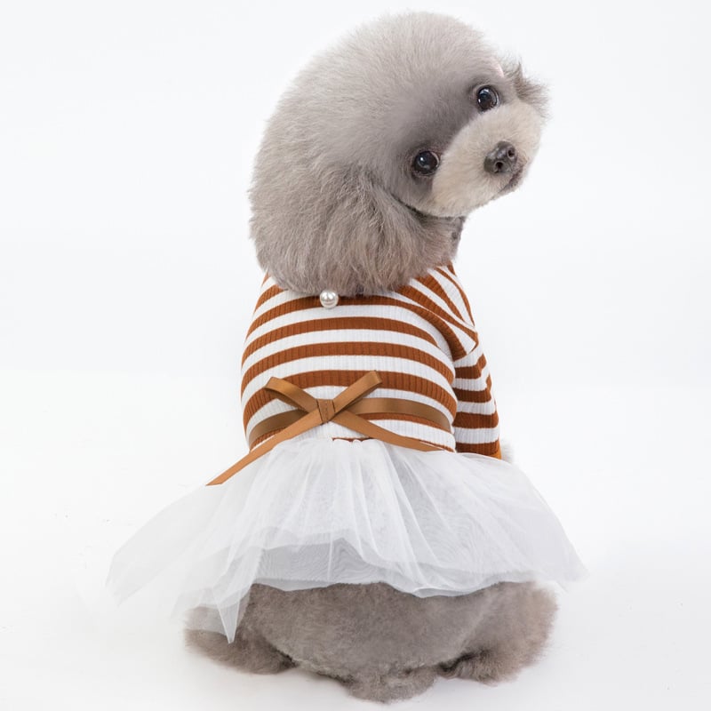 New Spring and Summer Dog Clothes for Pets
