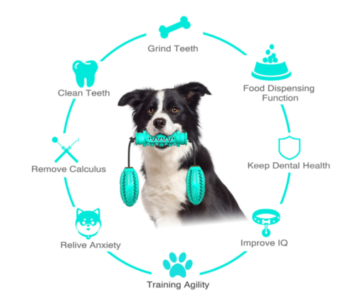 Dog Chew Toy – Rubber Bone Toothbrush for Teeth Cleaning