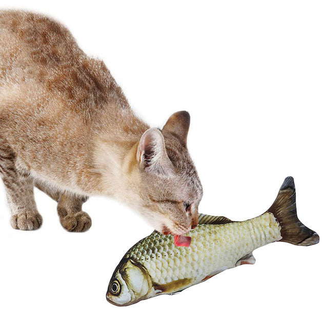 Creative Pet Toy in Fish Shape