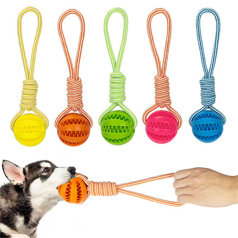Interactive Bite-Resistant Tug Rope for Dogs