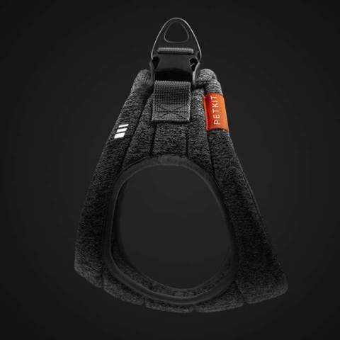 Dog Leash and Harness Set for Outdoor Activities