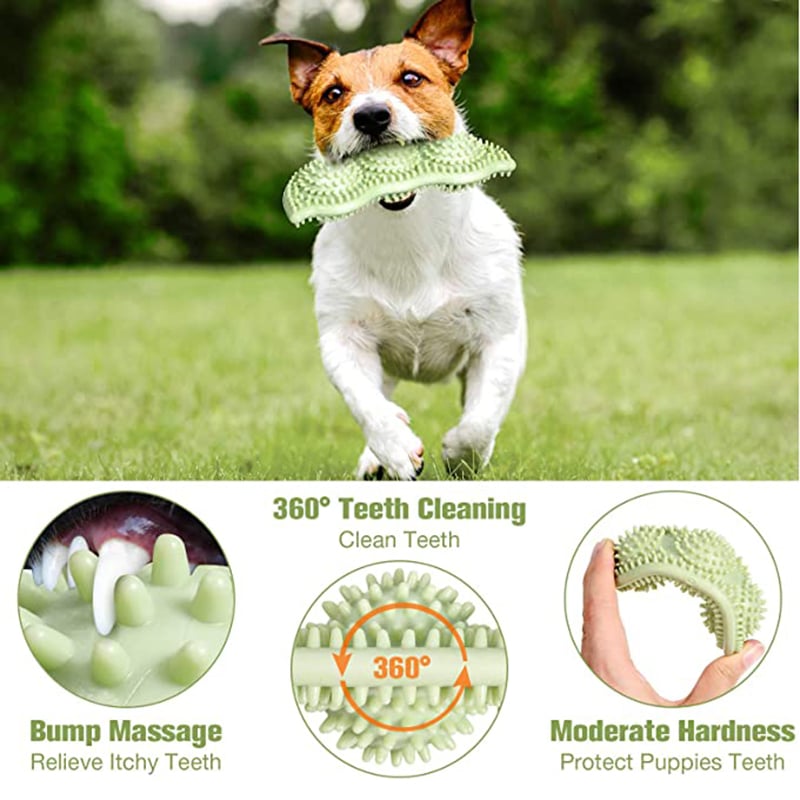 Bite-Resistant Dog Ball Toy for Interactive Chewing