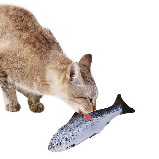 Creative Pet Toy in Fish Shape