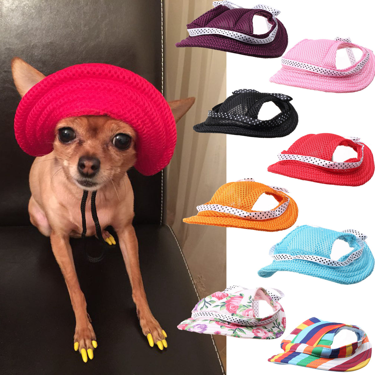Summer Outdoor Breathable Dog Cap - Pet Accessories