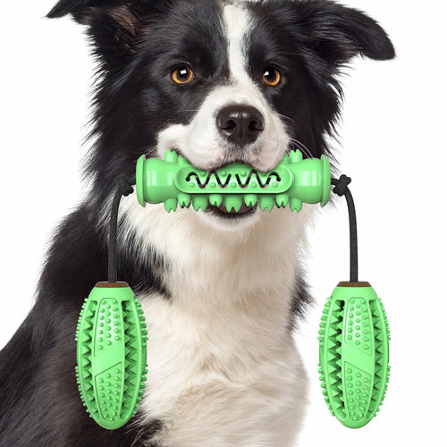 Dog Chew Toy – Rubber Bone Toothbrush for Teeth Cleaning