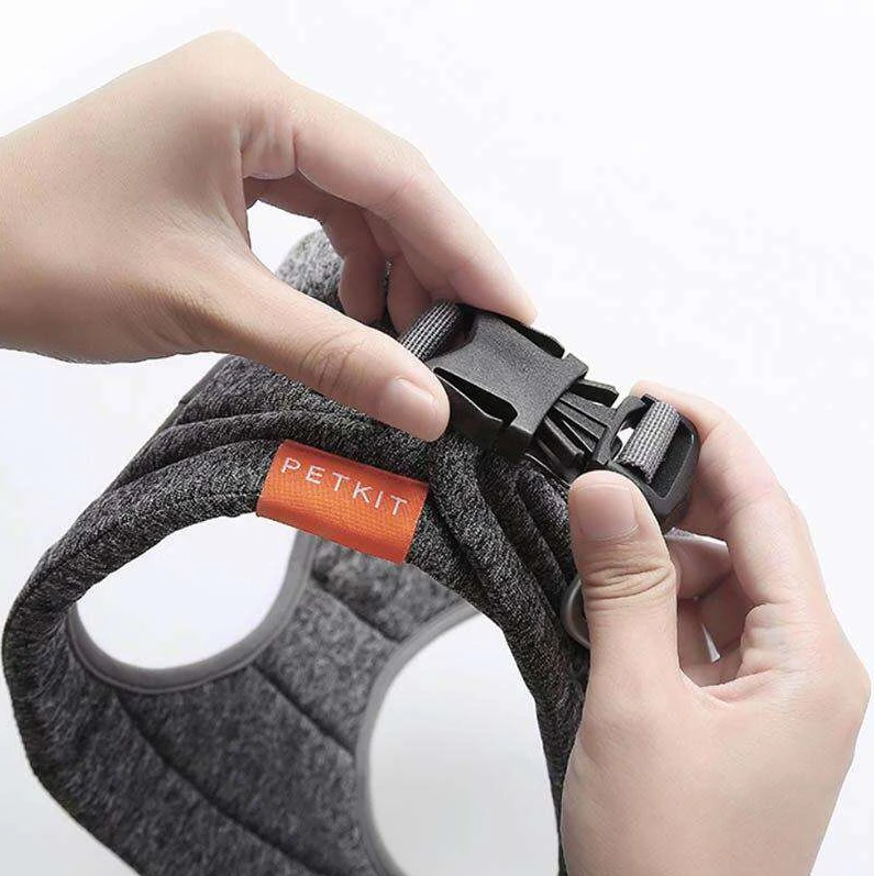 Dog Leash and Harness Set for Outdoor Activities