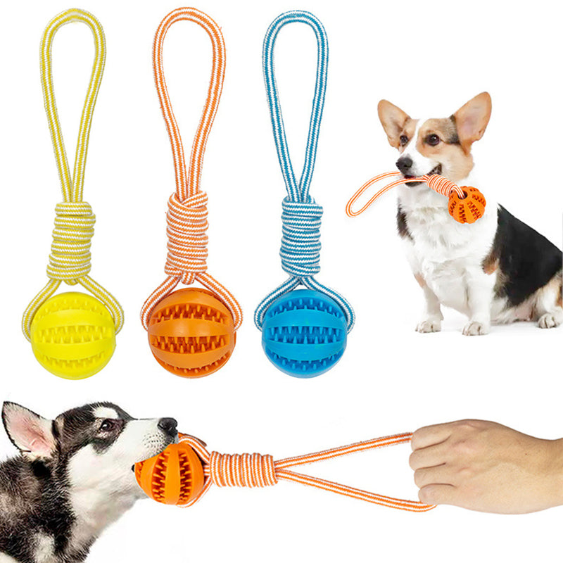 Interactive Bite-Resistant Tug Rope for Dogs