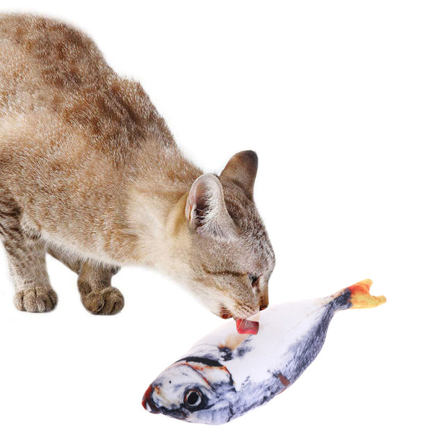 Creative Pet Toy in Fish Shape