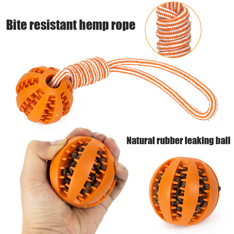 Interactive Bite-Resistant Tug Rope for Dogs