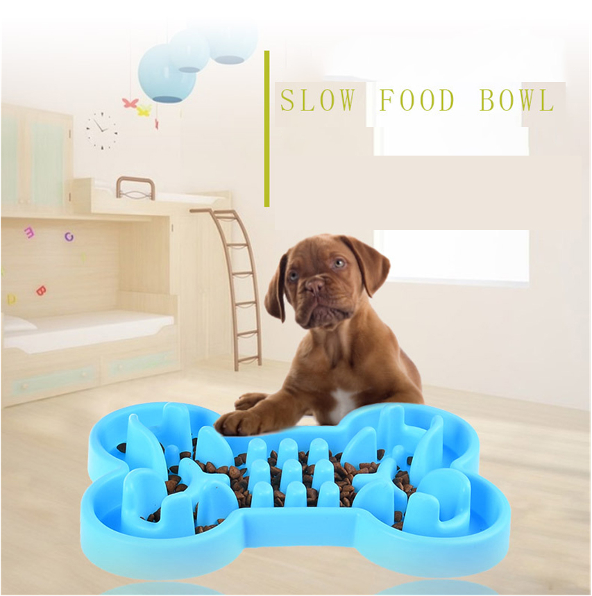 Slow feeder dog bowl with color box – Healthy and fun