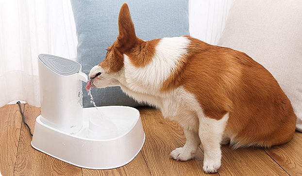 Pet Water Dispenser for Cats and Dogs