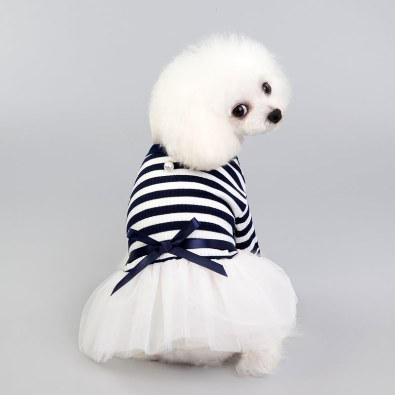 New Spring and Summer Dog Clothes for Pets