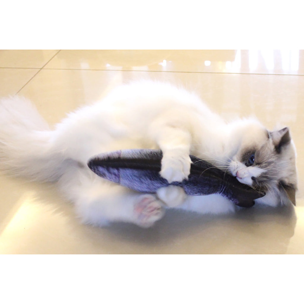 Creative Pet Toy in Fish Shape