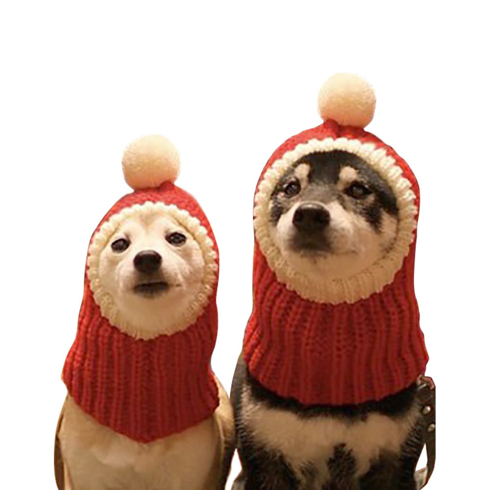 Dog Headgear for Halloween and Christmas Celebrations