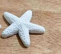 Resin Starfish and Seahorse Fish Tank Decoration Pendant