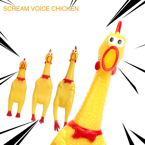 Jouet créatif pour chien, poulet vocal pour le grincement des dents
