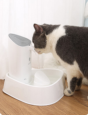 Pet Water Dispenser for Cats and Dogs