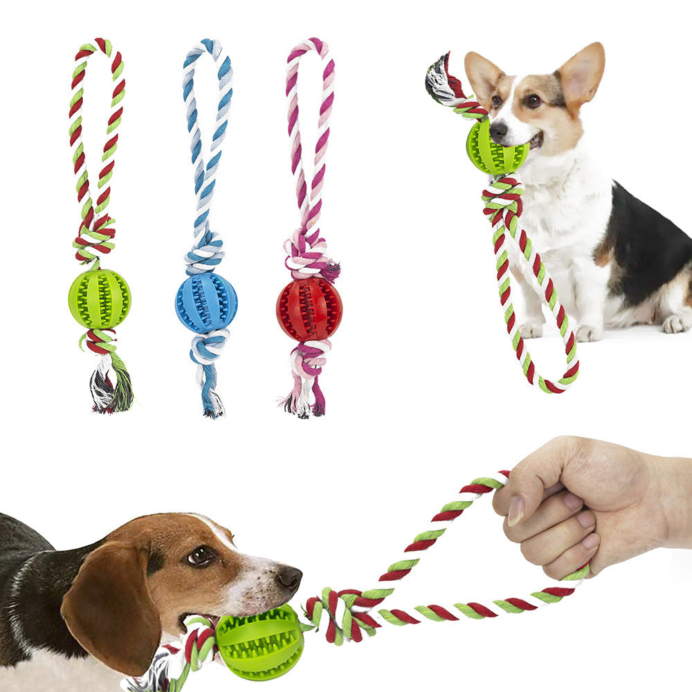 Interactive Bite-Resistant Tug Rope for Dogs