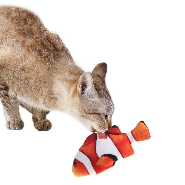 Creative Pet Toy in Fish Shape