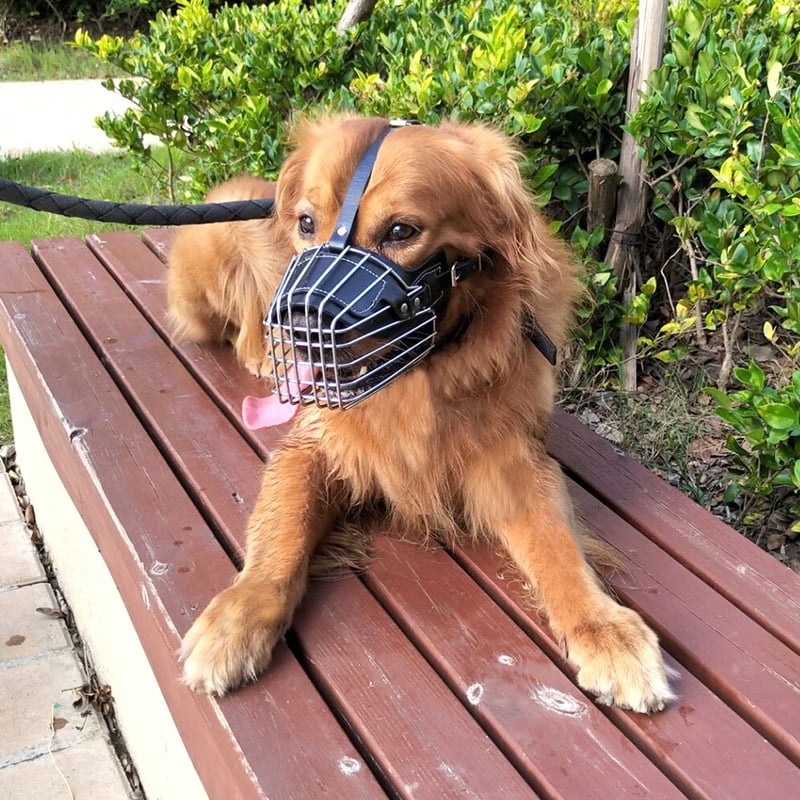 Adjustable Soft Strap Dog Muzzle for Anti-Bite Use
