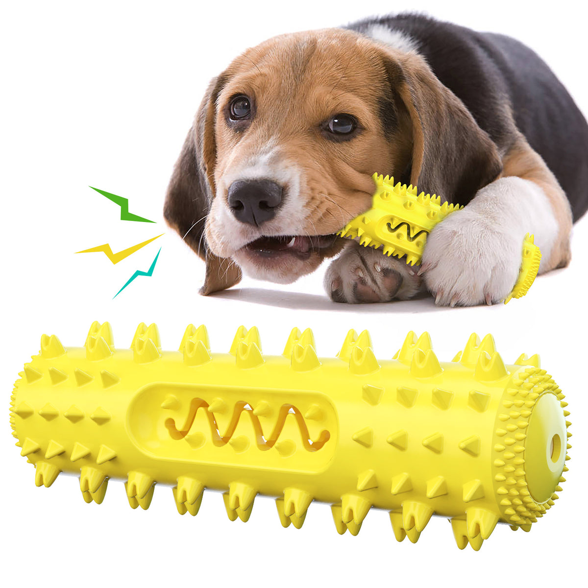Pet Chew Toothbrush and Dental Ball Toy