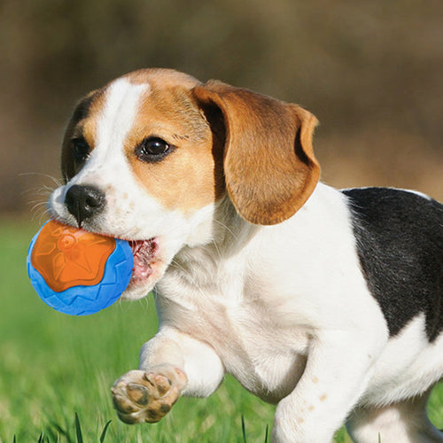 Dog Toy Ball Audible Glow Can Float Grinding Teeth