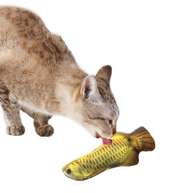 Creative Pet Toy in Fish Shape