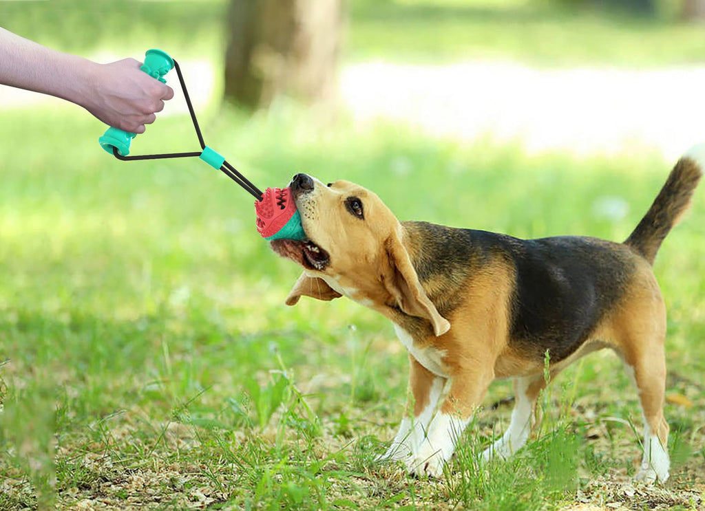 Dog Toy, Tug Rope, Training Ball