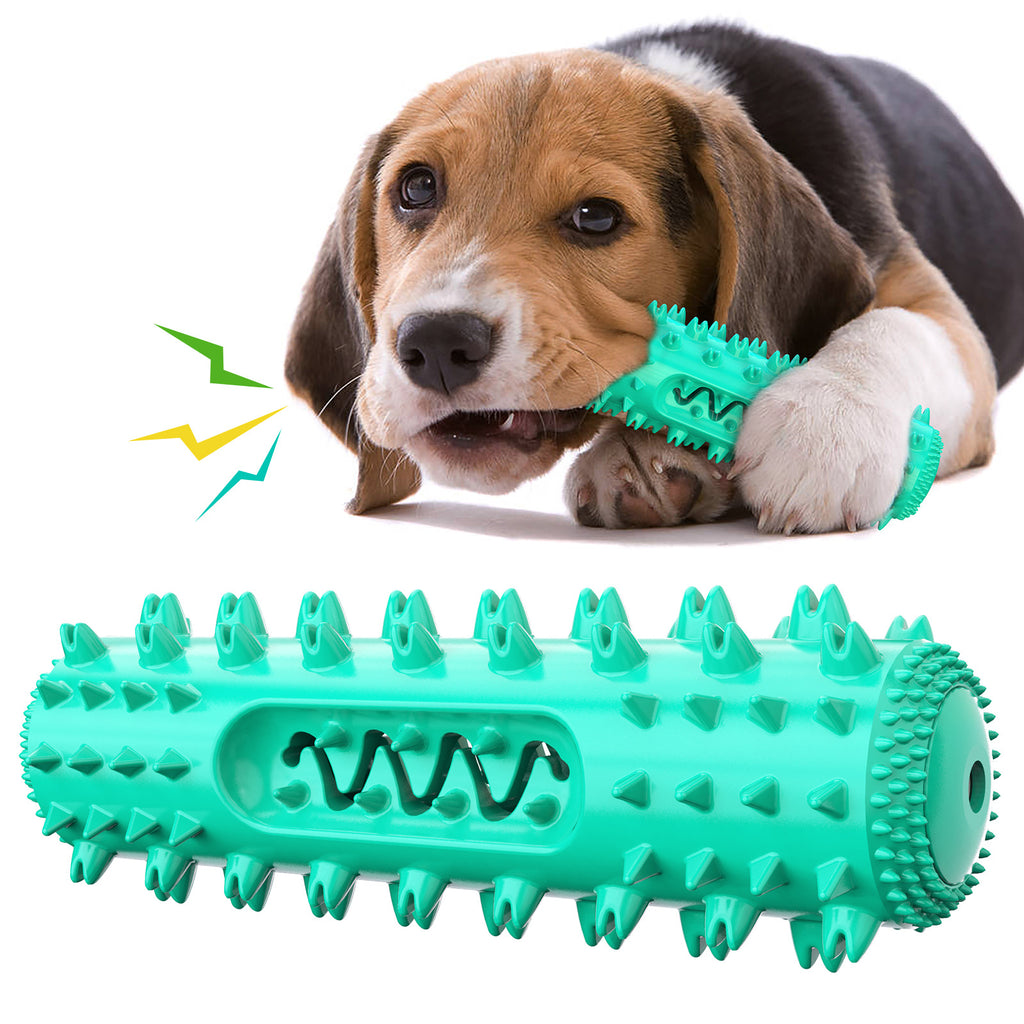 Pet Chew Toothbrush and Dental Ball Toy