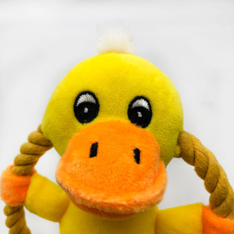 Cotton Rope Dog Toys – Cartoon Designs