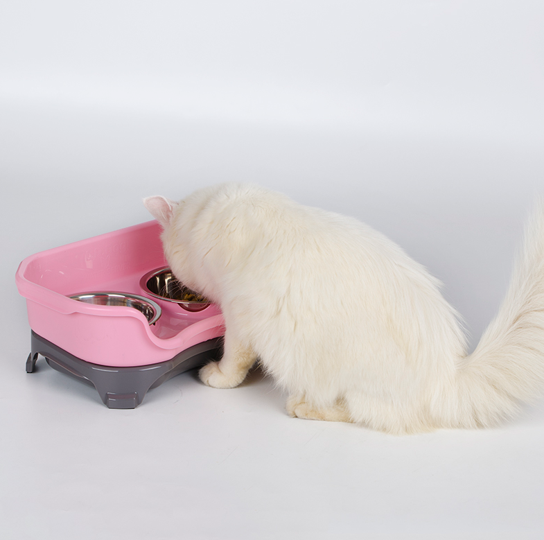 Stainless Steel Pet Dog and Cat Feeding Bowl Set