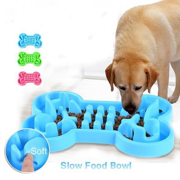 Slow feeder dog bowl with color box – Healthy and fun