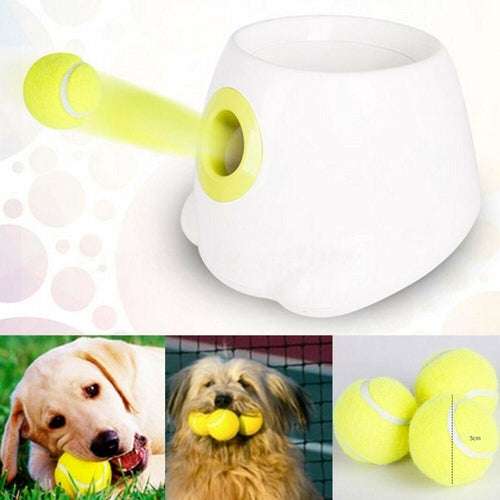Hyper Fetch Mini Dog Ball Launcher - Automatic Interactive Indoor