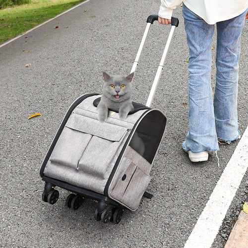 Cat Carrier with Wheels, Rolling Pet Carrier with Telescopic Handle