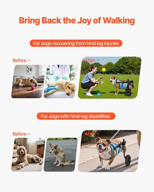 Dog Wheelchair for Back Legs, Adjustable 2 Wheels Pet Wheelchair,