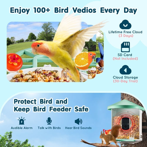 Smart Bird Feeder with Camera, 2K HD AI Identify 10,000+ Bird Species,